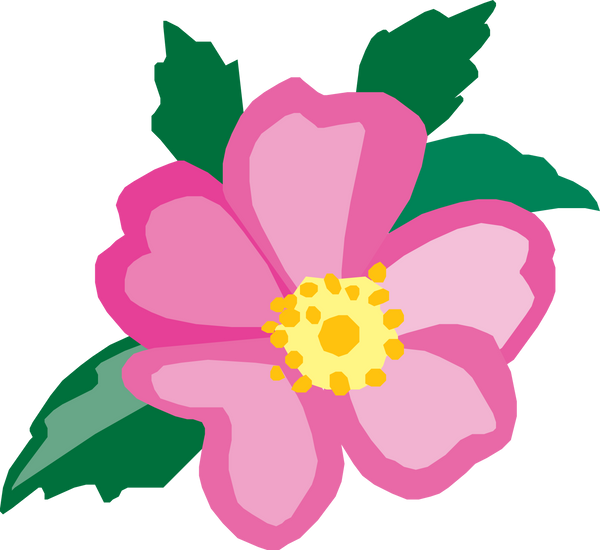 Wild Prairie Rose  
